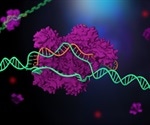 CRISPR technology reveals essential noncoding RNAs in the human genome