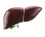 Liver cell aging can trigger multi-organ failure