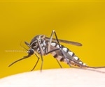 California dengue cases prompt swift response from public health officials